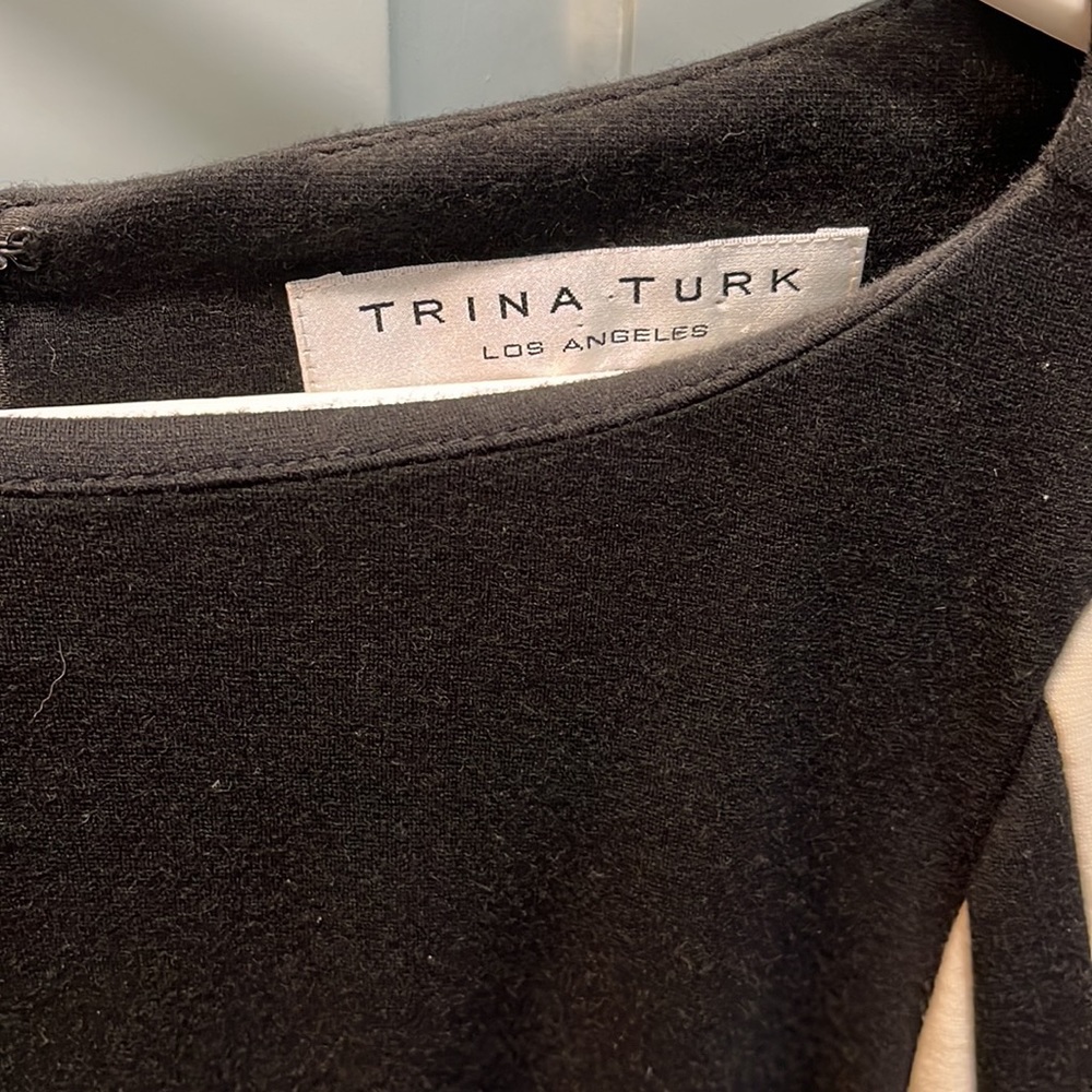 Gorgeous Trina Turk dress! - Picture 3 of 5